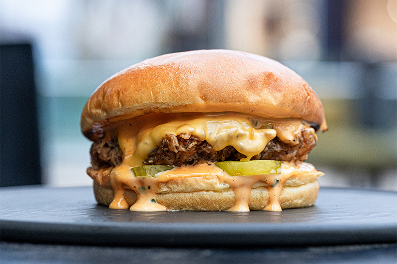 chicken-hotney-ficha